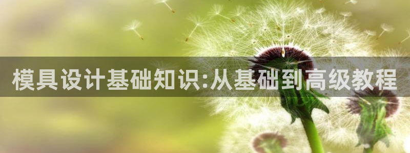 太阳成集团tyc234cc—首页欢迎您：模具设计基础知识:从基础到高级教程