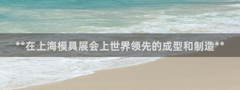 太阳app软件：**在上海模具展会上世界领先的成型和制造**
