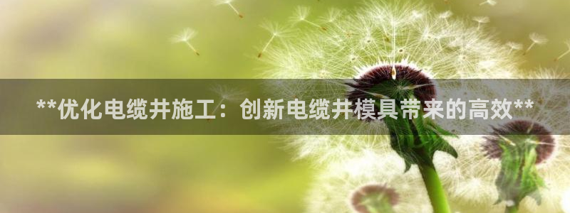 太阳集团入口官网首页：**优化电缆井施工：创新电缆井模具带来的高效**