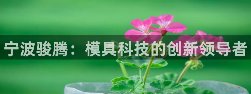 8827太阳集团：宁波骏腾：模具科技的创新领导者