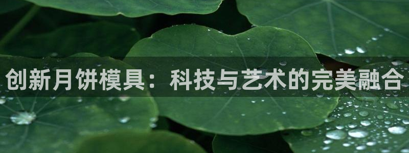 太阳集团娱乐网8722手机登录：创新月饼模具：科技与艺术的完美融合