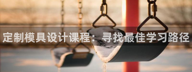 太阳诚集团有限公司是国企吗还是央企：定制模具设计课程：寻找最佳学习路径