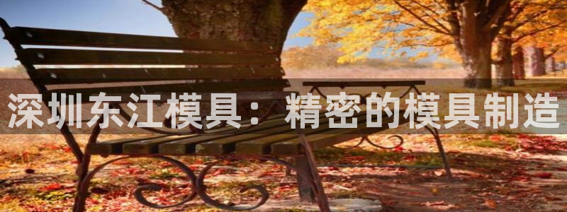 太阳集团1383：深圳东江模具：精密的模具制造
