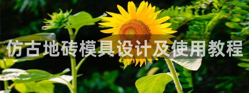 太阳集团app首页：仿古地砖模具设计及使用教程