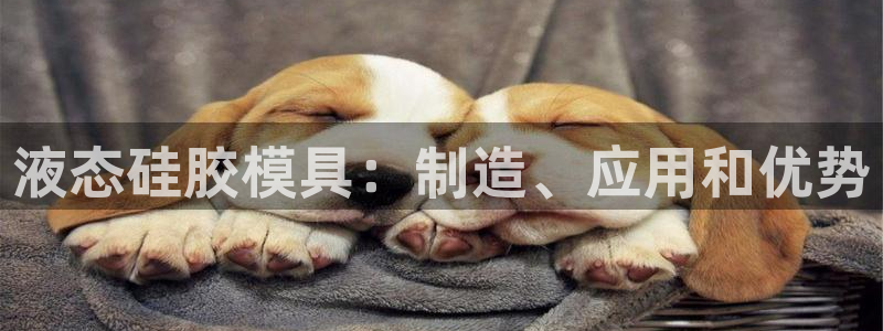 太阳游戏盒子：液态硅胶模具：制造、应用和优势
