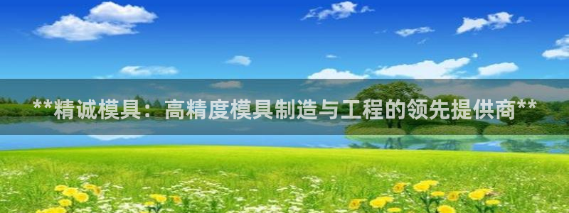太阳gg注册平台页面：**精诚模具：高精度模具制造与工程的领先提供商**