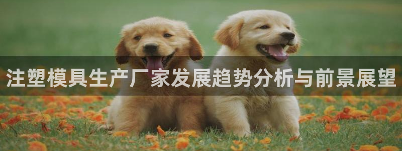 太阳gg登陆测试：注塑模具生产厂家发展趋势分析与前景展望