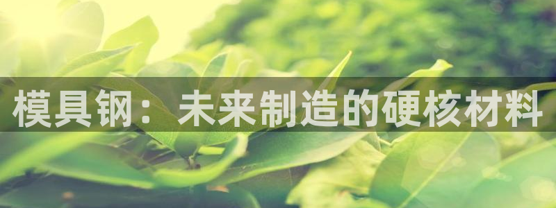 太阳集团网站入口官网首页：模具钢：未来制造的硬核材料