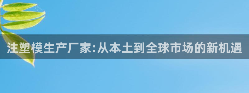 太阳集团78566备用网址：注塑模生产厂家:从本土到全球市场的新机遇