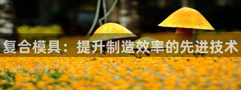 太阳集团网站古天乐：复合模具：提升制造效率的先进技术