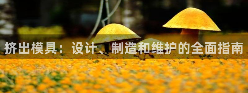 太阳成集团网站5：挤出模具：设计、制造和维护的全面指南