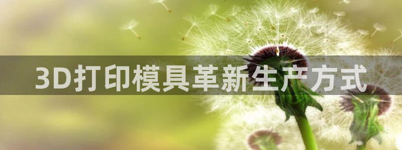 太阳地产老板：3D打印模具革新生产方式