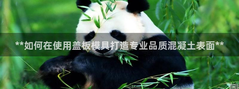太阳集团网站入口：**如何在使用盖板模具打造专业品质混凝土表面**