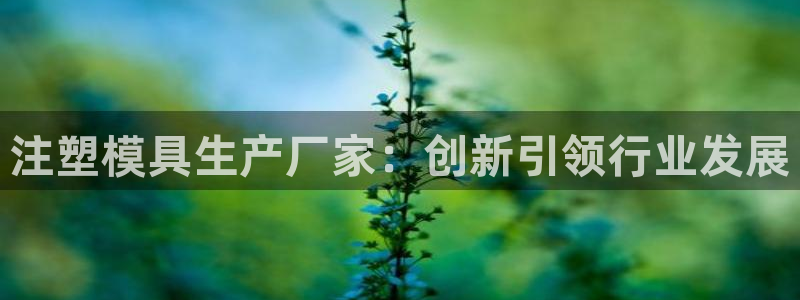 太阳成集团娱乐网站：注塑模具生产厂家：创新引领行业发展