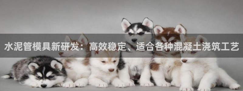 太阳集团城入口：水泥管模具新研发：高效稳定、适合各种混凝土浇筑工艺
