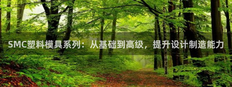 太阳商城贵宾会2017cm