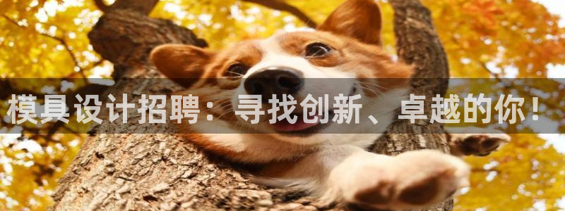 太阳集团城网站2017：模具设计招聘：寻找创新、卓越的你！