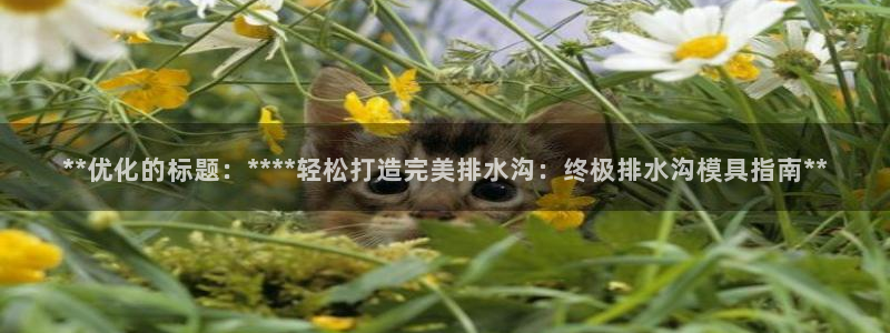 太阳地产老板