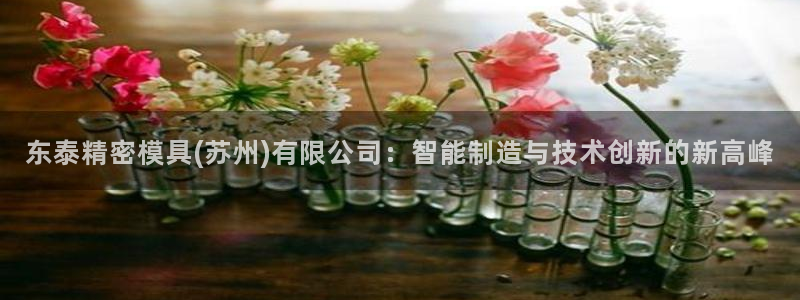 太阳集团网站入口官网下载：东泰精密模具(苏州)有限公司：智能制造与技术创新的新高峰