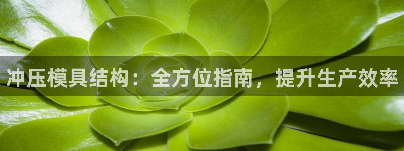太阳集团网站视频：冲压模具结构：全方位指南，提升生产效率