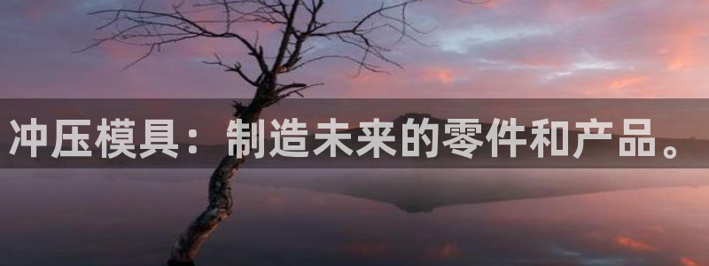 太阳成下载：冲压模具：制造未来的零件和产品。