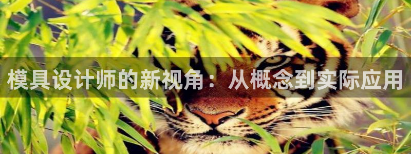 太阳集团app首页：模具设计师的新视角：从概念到实际应用