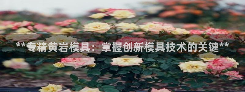 太阳集团电子游戏有限公司：**专精黄岩模具：掌握创新模具技术的关键**