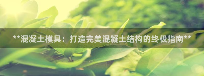太阳集团在哪里