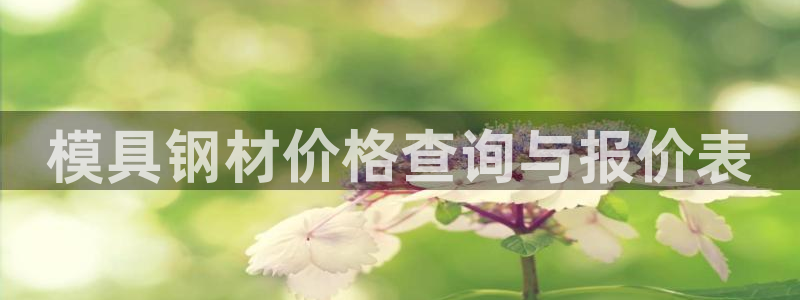 太阳集团游戏网址：模具钢材价格查询与报价表