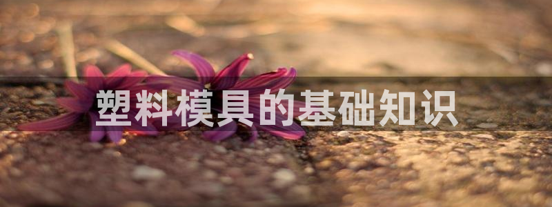 太阳诚集团有限公司怎么样：塑料模具的基础知识
