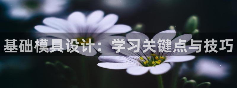 太阳app苹果下载地址：基础模具设计：学习关键点与技巧