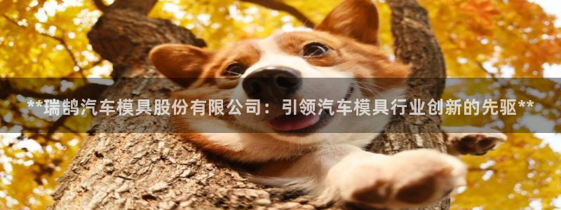 太阳集团唯一值得信赖网站是什么