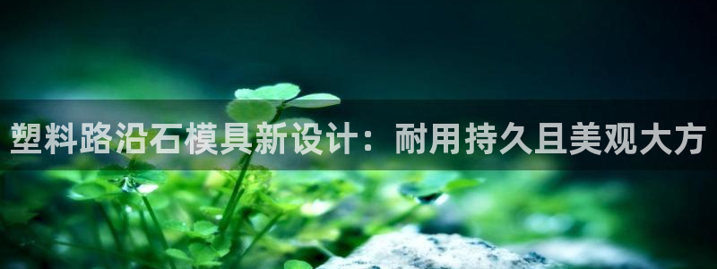 太阳成集团tyc234cc官网：塑料路沿石模具新设计：耐用持久且美观大方