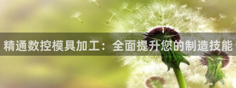太阳1城集团网址：精通数控模具加工：全面提升您的制造技能