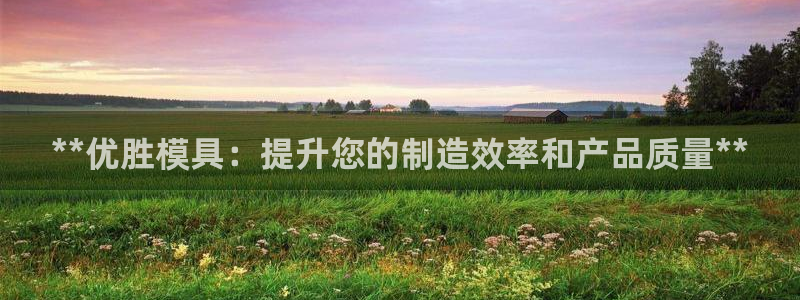 太阳成集团不能提现：**优胜模具：提升您的制造效率和产品质量**