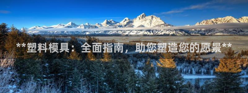 太阳成集团tyc234cc主页网址：**塑料模具：全面指南，助您塑造您的愿景**