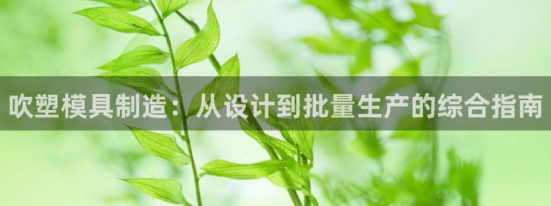 太阳成集团tyc234cc主页网站：吹塑模具制造：从设计到批量生产的综合指南