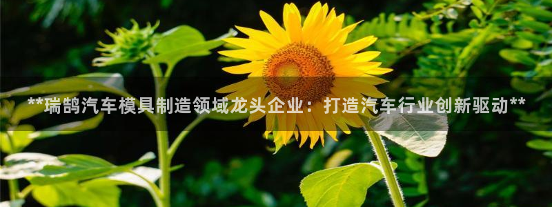 太阳app官网下载入口：**瑞鹄汽车模具制造领域龙头企业：打造汽车行业创新驱动**