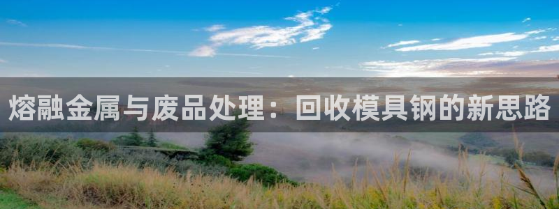 太阳集团tcy8722贵宾会：熔融金属与废品处理：回收模具钢的新思路