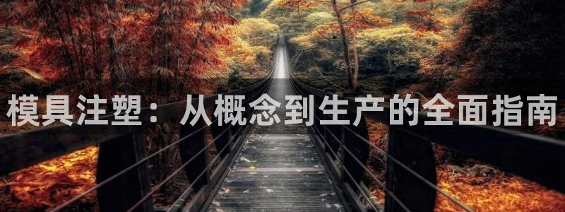 太阳集团电子游戏返还8元：模具注塑：从概念到生产的全面指南