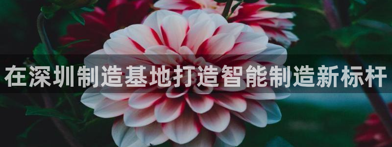 太阳gg登录：在深圳制造基地打造智能制造新标杆