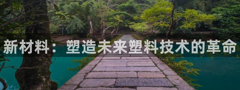 太阳游戏成语
