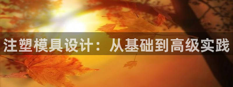 太阳诚集团：注塑模具设计：从基础到高级实践