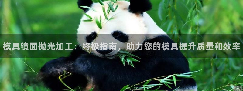 太阳集团app首页：模具镜面抛光加工：终极指南，助力您的模具提升质量和效率