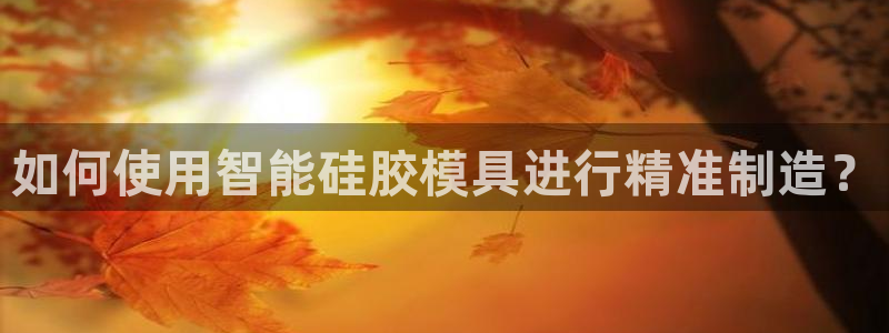 太阳商城贵宾会：如何使用智能硅胶模具进行精准制造？