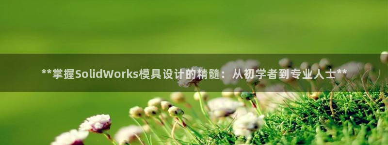 太阳集团游戏城旧版2.1.9：**掌握SolidWorks模具设计的精髓：从初学者到专业人士**