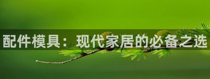 太阳集团官网导航首页：配件模具：现代家居的必备之选