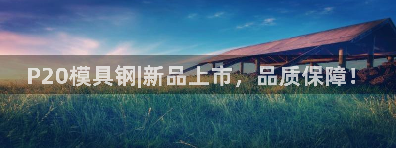 太阳集团游戏网址：P20模具钢|新品上市，品质保障！