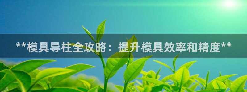 太阳集团tcy8722电子游戏：**模具导柱全攻略：提升模具效率和精度**