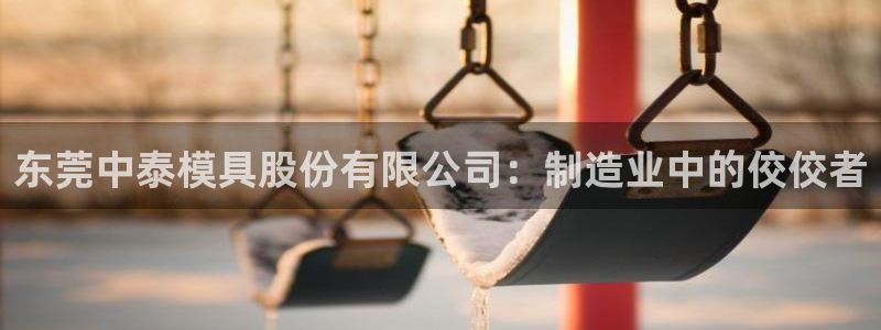太阳地产老板：东莞中泰模具股份有限公司：制造业中的佼佼者